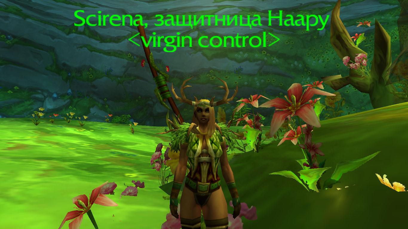 WoWScrnShot_110722_183514.jpg